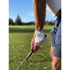 KEPEL GOLF Men's Flamingo Golf Glove -Grip Fit Store Mens Flamingo Golf Glove 2