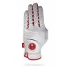 Palm Golf Prior Generation - Men's Big Maple Golf Glove
