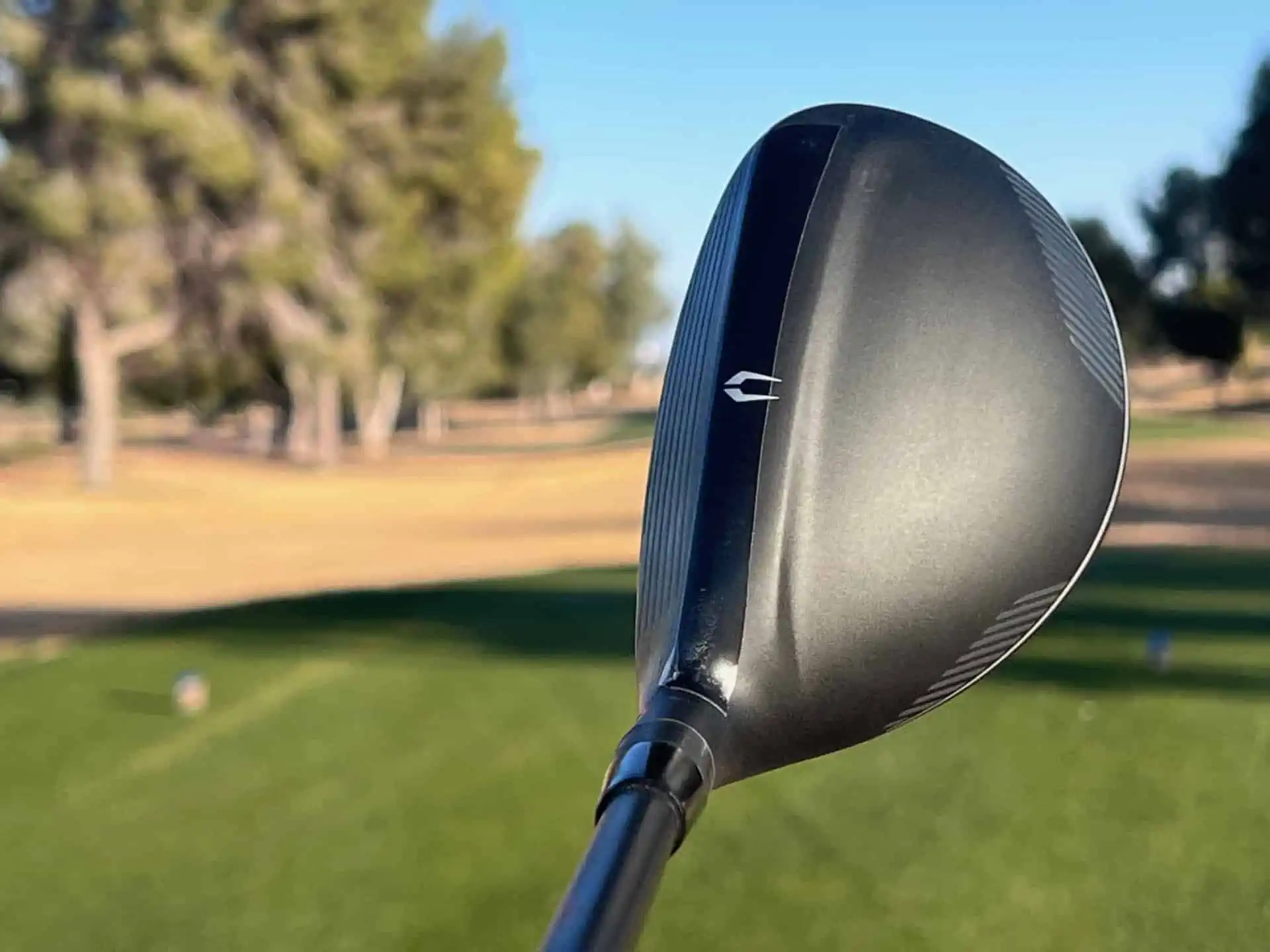 Grip Fit Store -Grip Fit Store IMG 7015